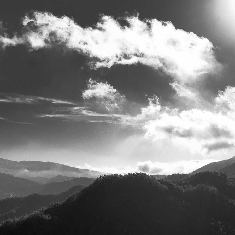 Golden Horizon